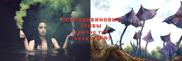 дурь Волосово