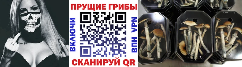 Псилоцибиновые грибы мухоморы  Ноябрьск 