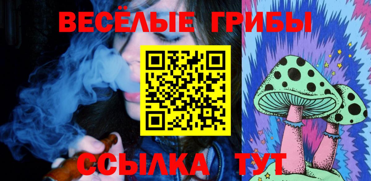Ноябрьск  Галлюциногенные грибы ЛСД  где купить наркотик  Галлюциногенные грибы Psilocybe  Вход с VPN 